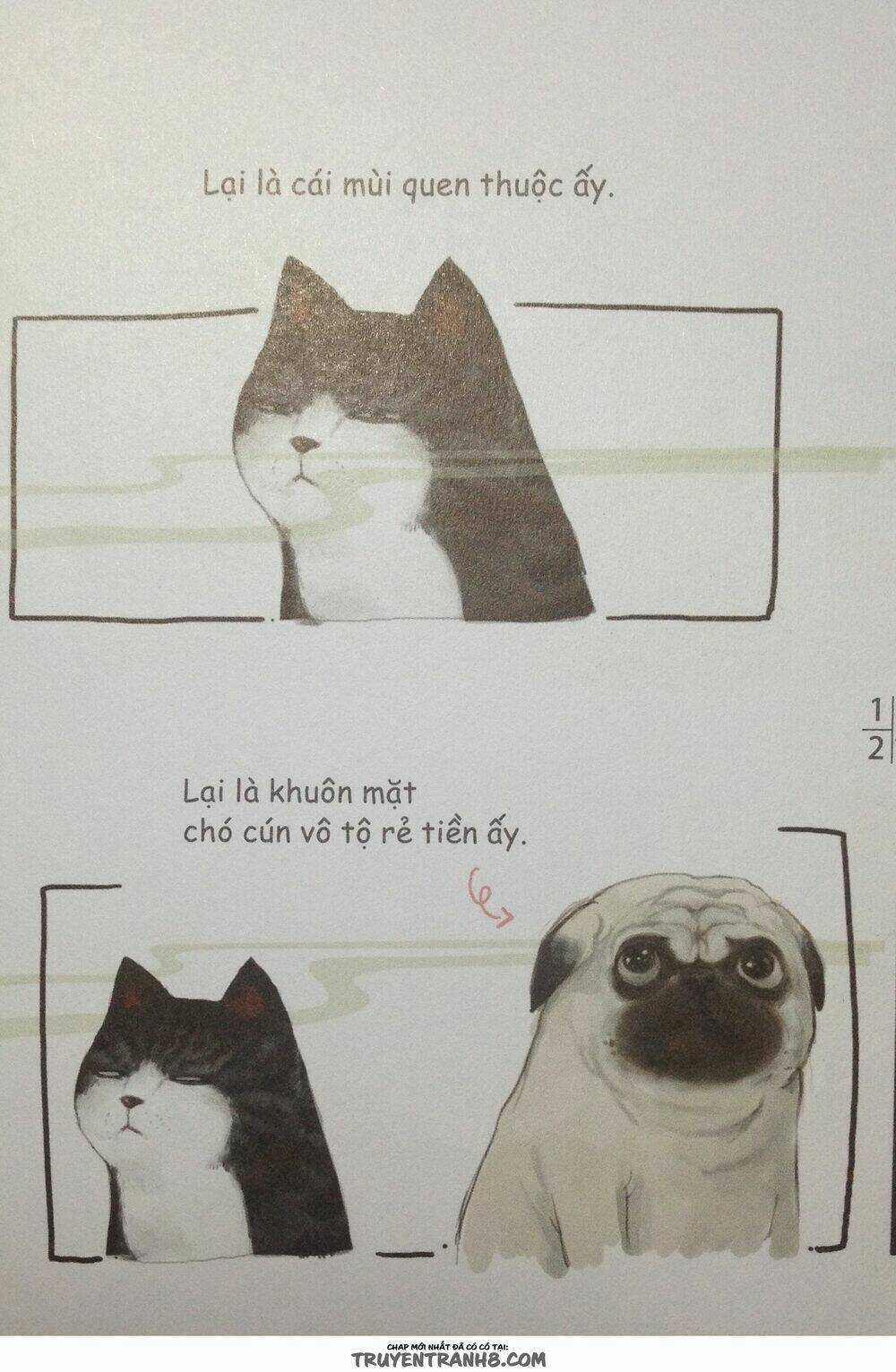 Cuộc Sống Thượng Lưu Của Hoàng Đế Mèo Chapter 8 trang 16