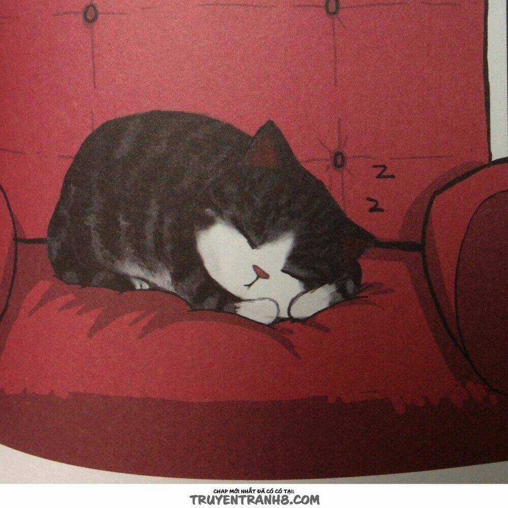 Cuộc Sống Thượng Lưu Của Hoàng Đế Mèo Chapter 8 trang 5