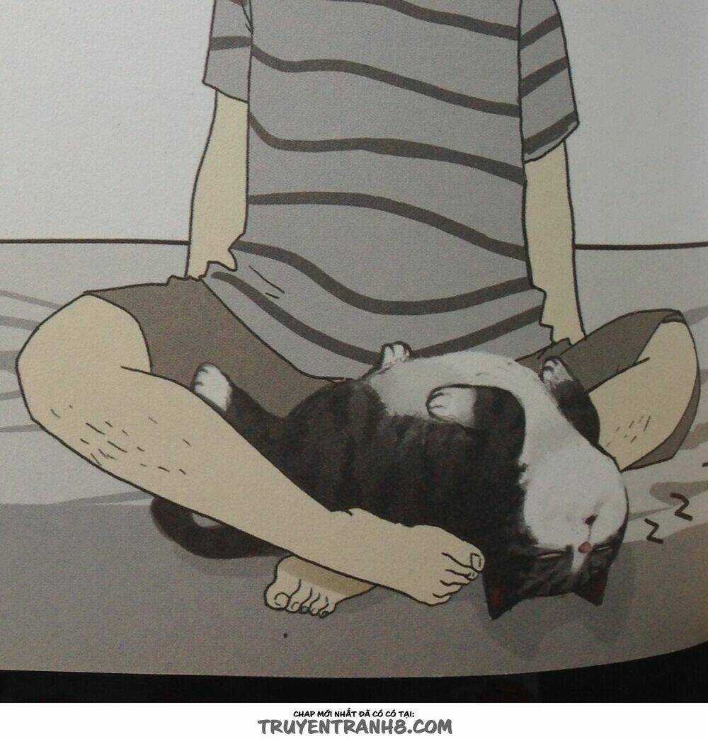 Cuộc Sống Thượng Lưu Của Hoàng Đế Mèo Chapter 8 trang 9