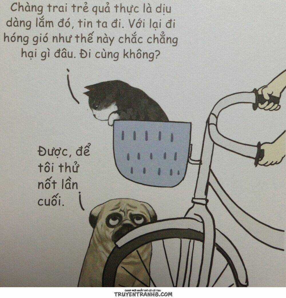 Cuộc Sống Thượng Lưu Của Hoàng Đế Mèo Chapter 9 trang 11