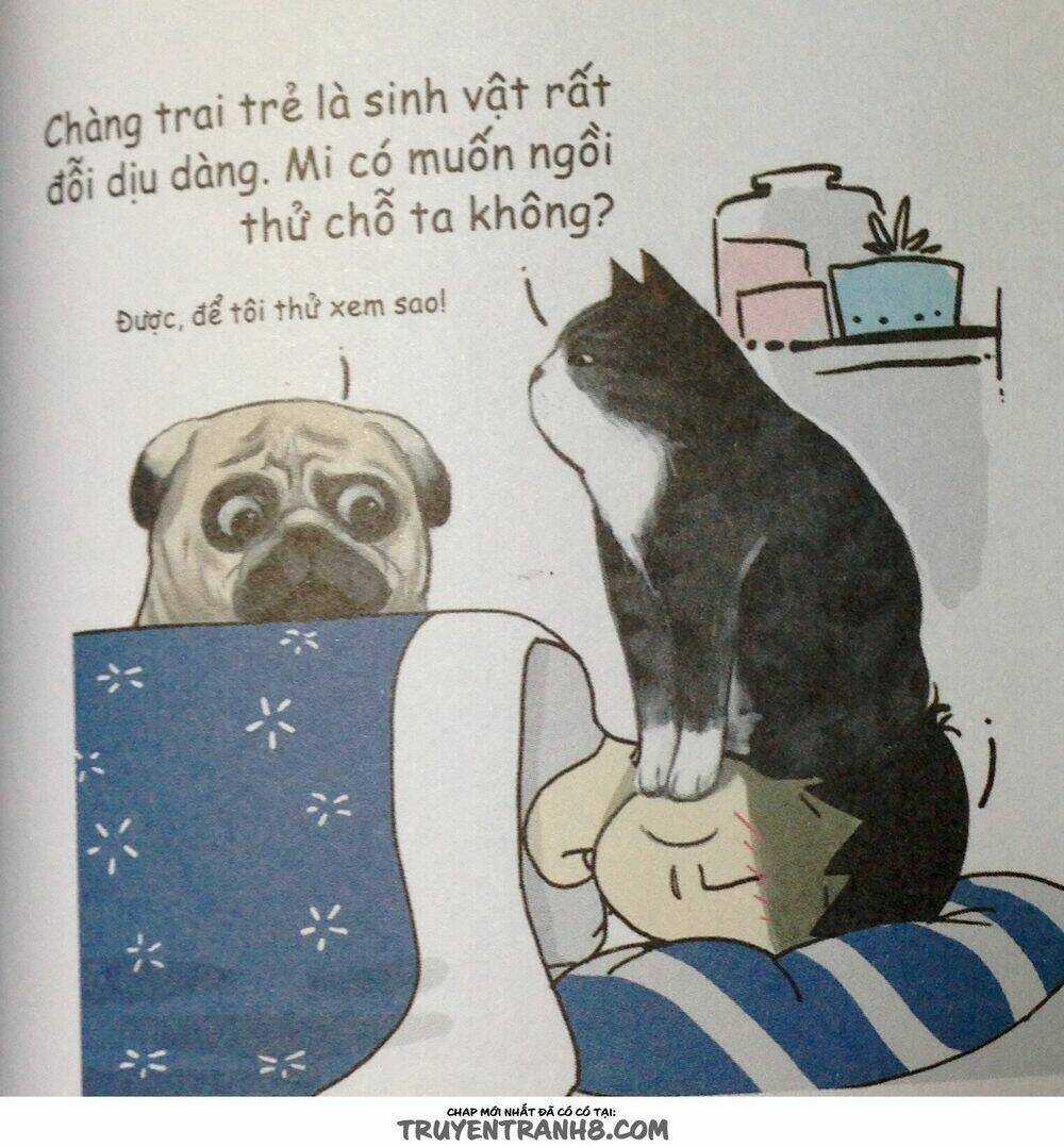 Cuộc Sống Thượng Lưu Của Hoàng Đế Mèo Chapter 9 trang 5