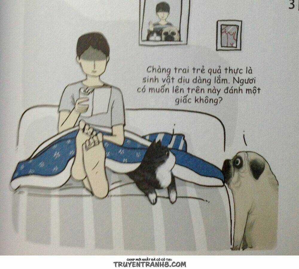 Cuộc Sống Thượng Lưu Của Hoàng Đế Mèo Chapter 9 trang 7