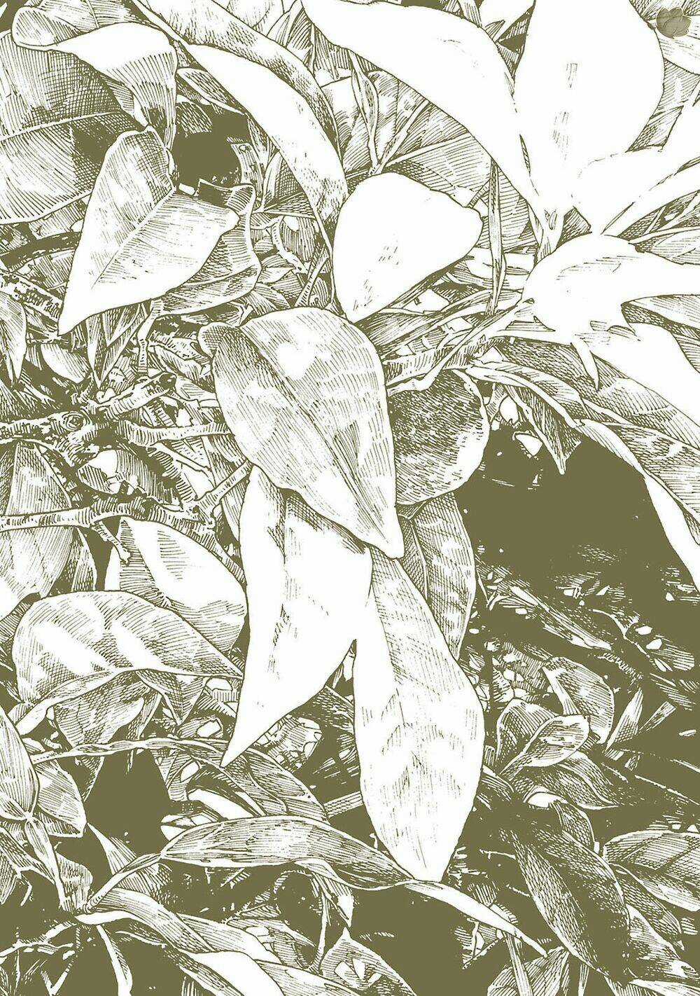 Cuộc Sống Tí Hon Trong Rừng Sâu. Chapter 27 trang 2