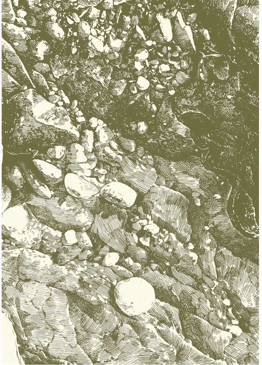 Cuộc Sống Tí Hon Trong Rừng Sâu. Chapter 53 trang 2