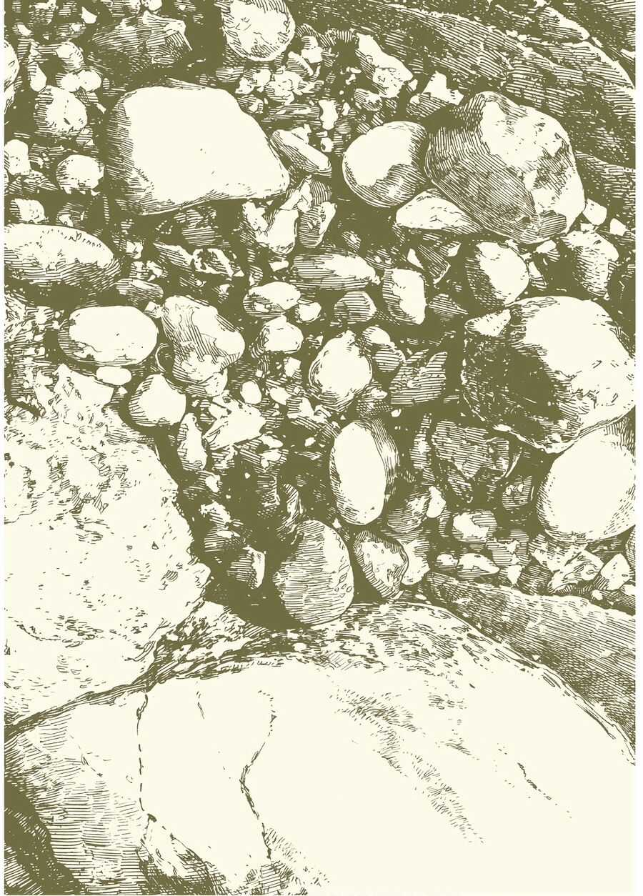 Cuộc Sống Tí Hon Trong Rừng Sâu. Chapter 53 trang 3