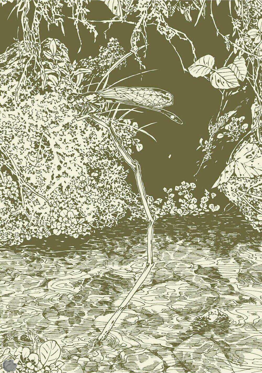 Cuộc Sống Tí Hon Trong Rừng Sâu. Chapter 9 trang 2