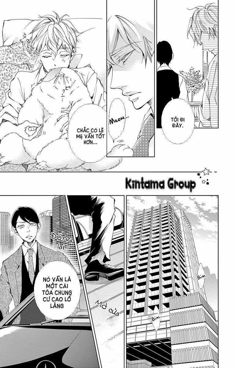 Cuộc Tình Cà Rốt Chapter 8 trang 16