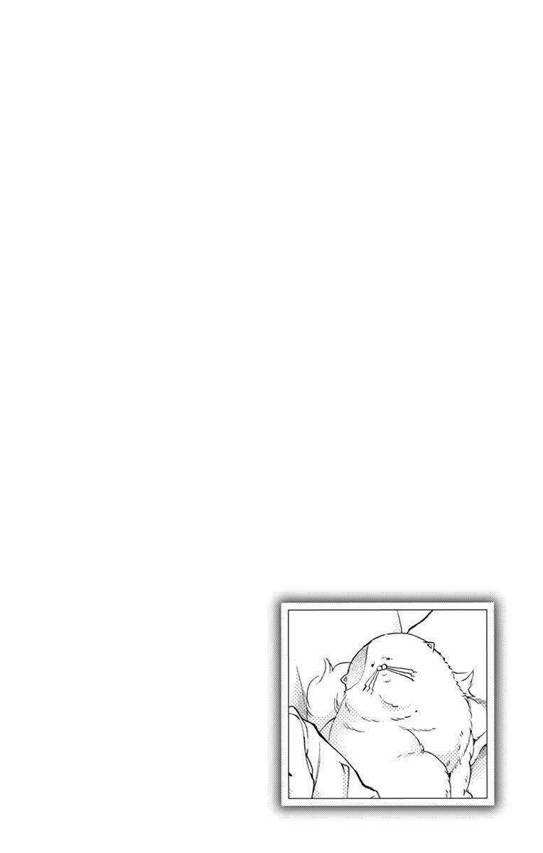 Cuộc Tình Cà Rốt Chapter 8 trang 7