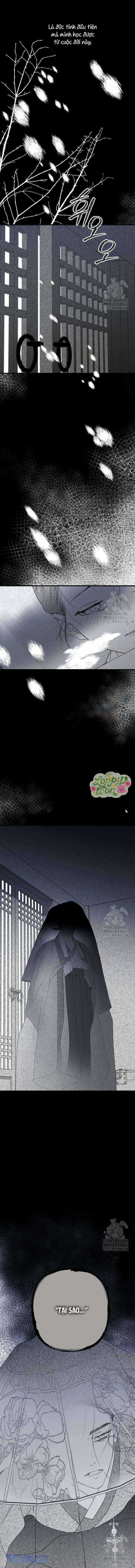 Cuộc Tuyển Chọn Vương Phi Triều Joseon Chapter 3 trang 5