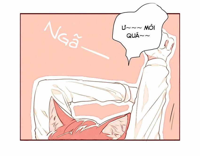 Cưới, Tôi Ư? Chapter 1 trang 16