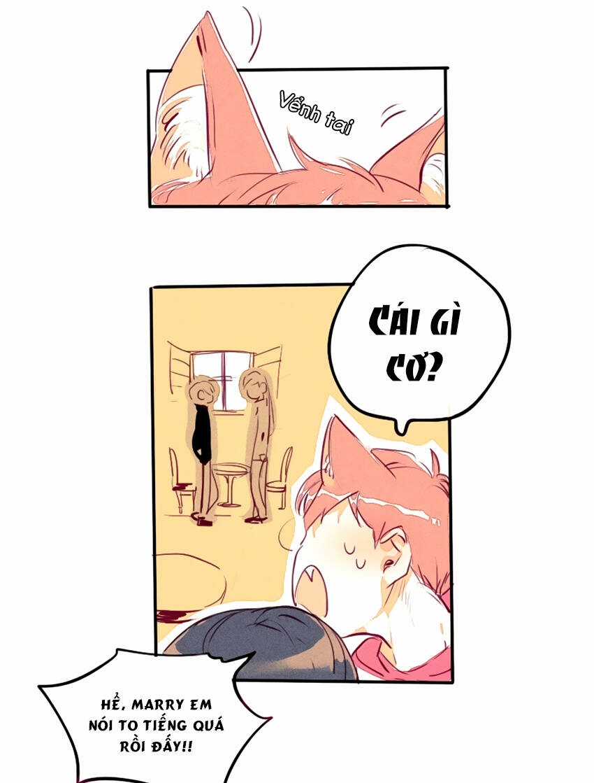 Cưới, Tôi Ư? Chapter 10 trang 15