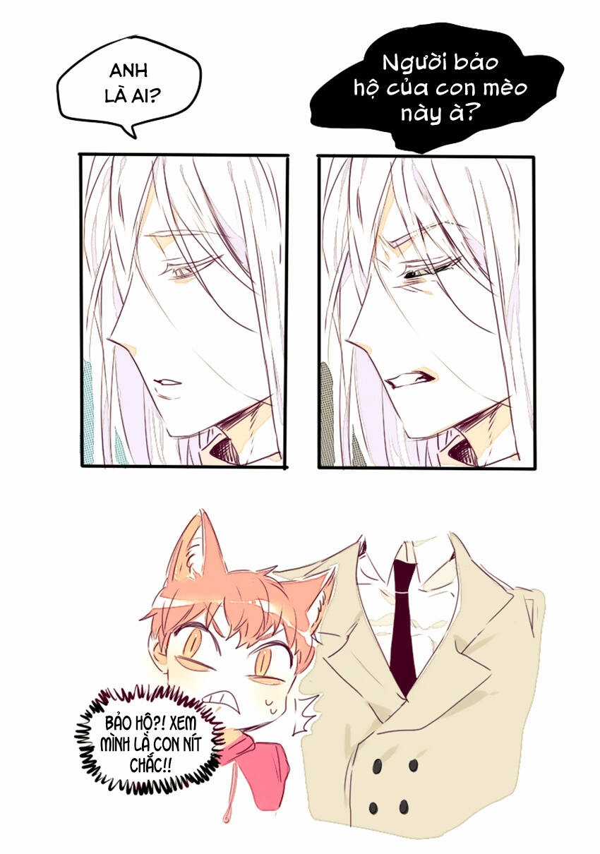 Cưới, Tôi Ư? Chapter 11 trang 19