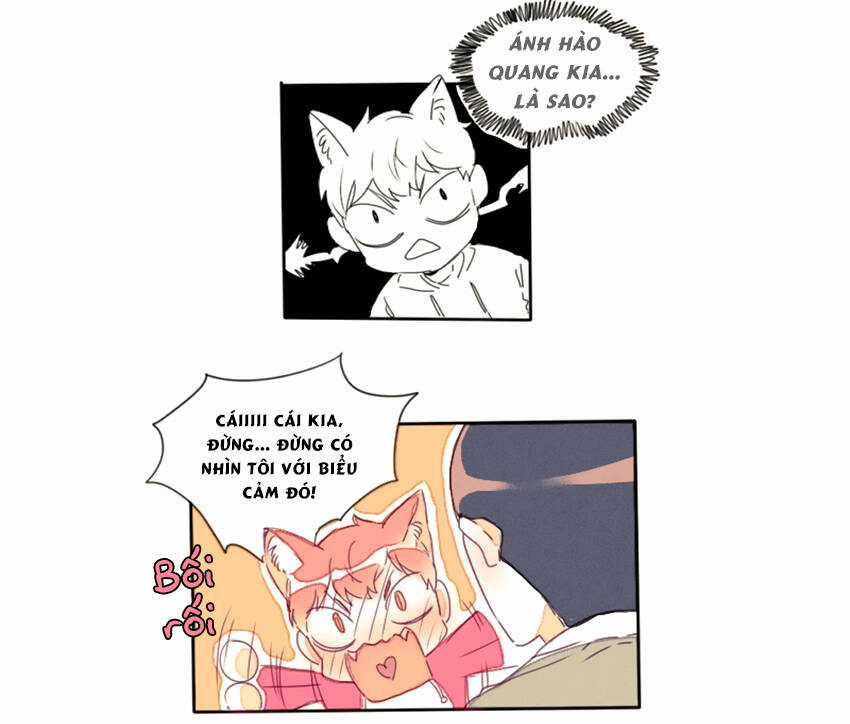 Cưới, Tôi Ư? Chapter 15 trang 17