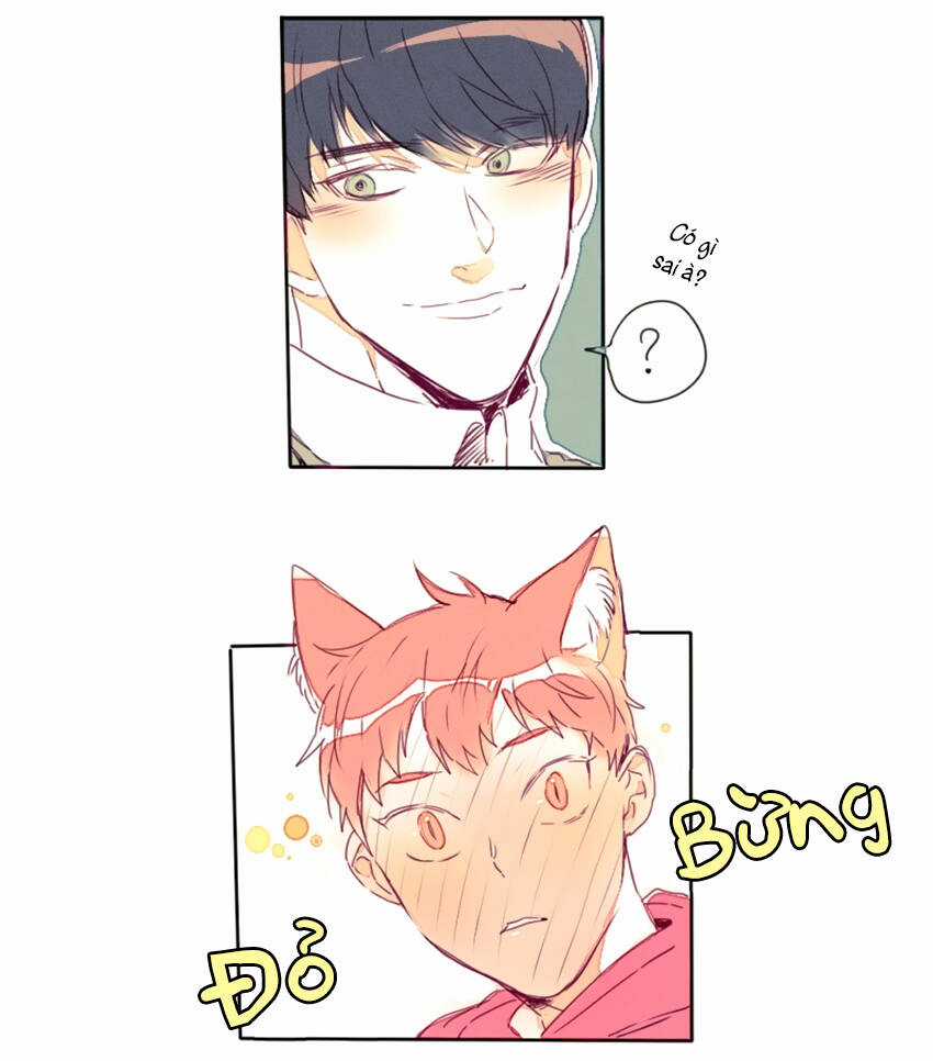 Cưới, Tôi Ư? Chapter 15 trang 18