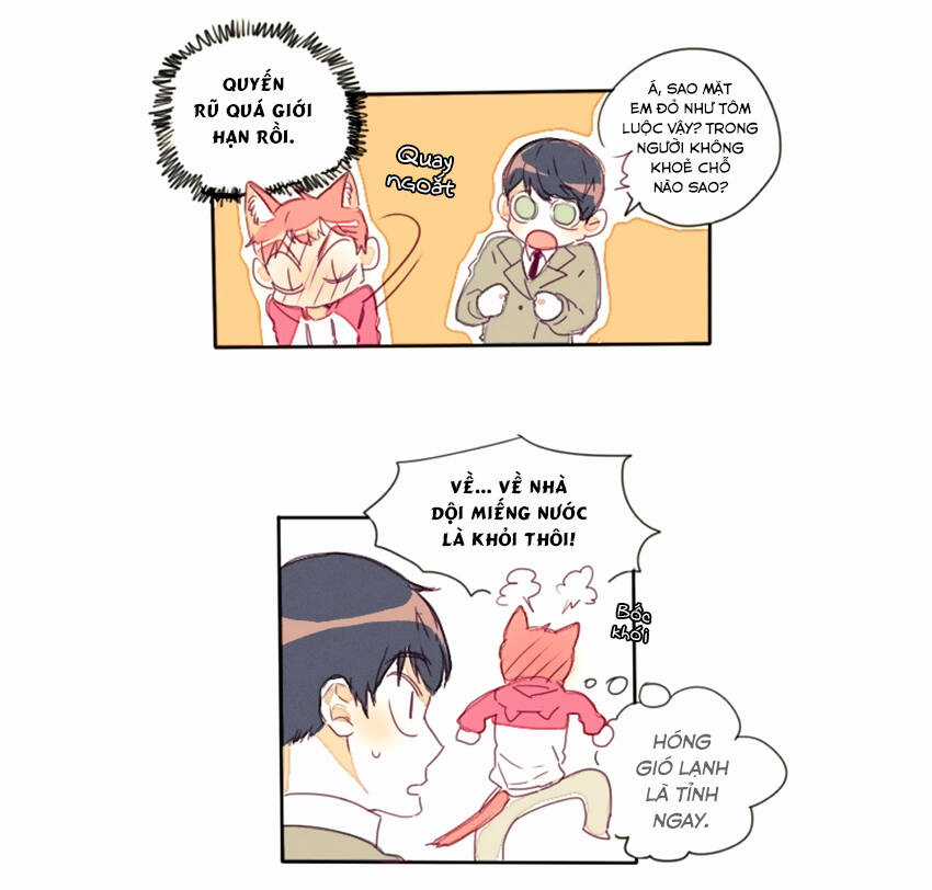 Cưới, Tôi Ư? Chapter 15 trang 19