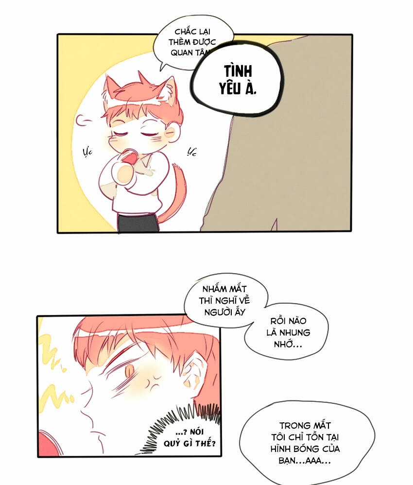 Cưới, Tôi Ư? Chapter 16 trang 17