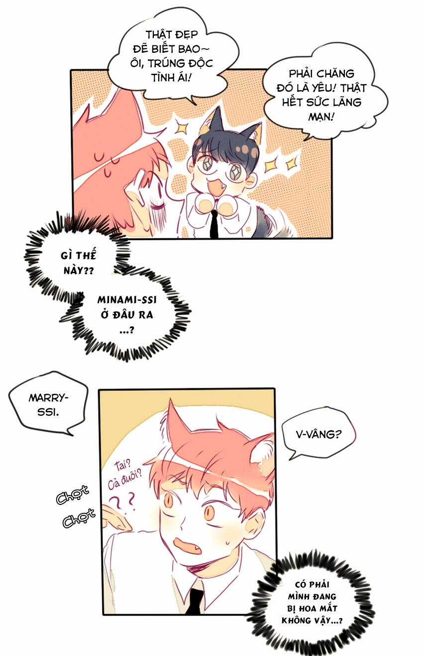 Cưới, Tôi Ư? Chapter 16 trang 19