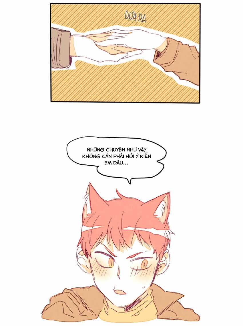 Cưới, Tôi Ư? Chapter 17 trang 25