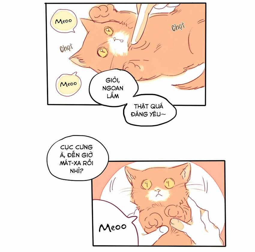 Cưới, Tôi Ư? Chapter 17 trang 3