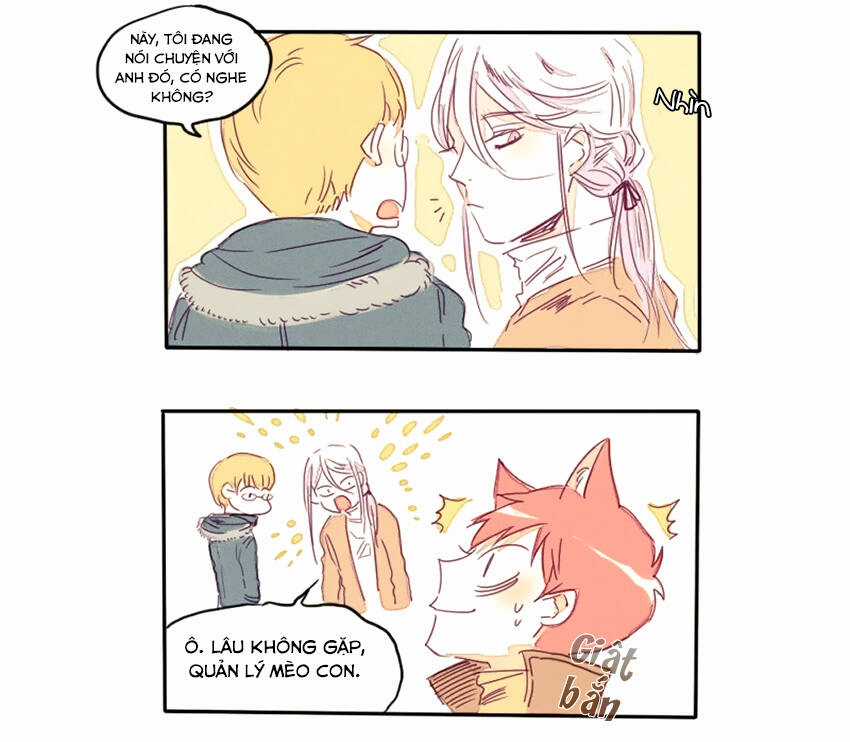 Cưới, Tôi Ư? Chapter 18 trang 13