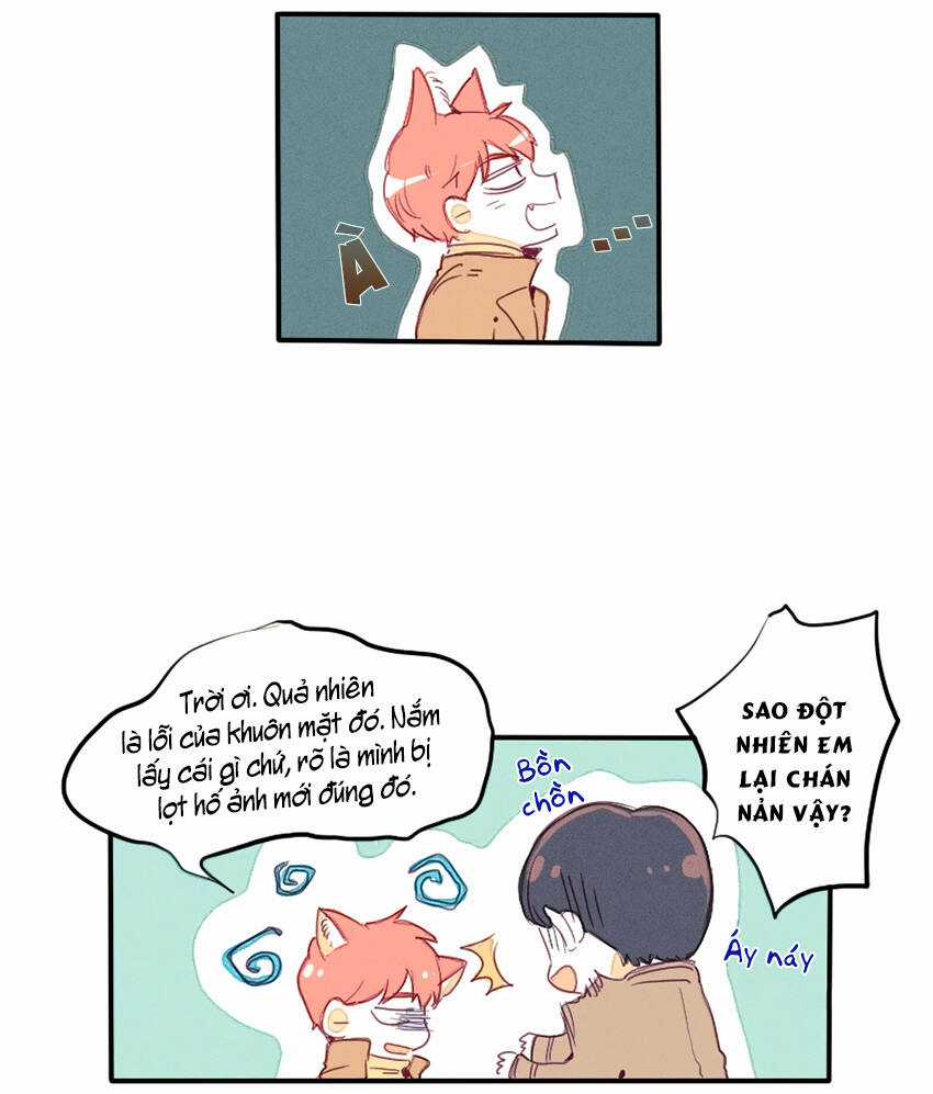 Cưới, Tôi Ư? Chapter 19 trang 10