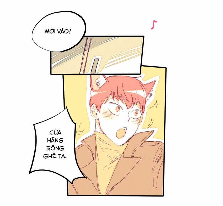 Cưới, Tôi Ư? Chapter 19 trang 21