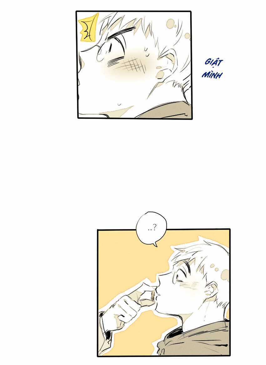 Cưới, Tôi Ư? Chapter 21 trang 13