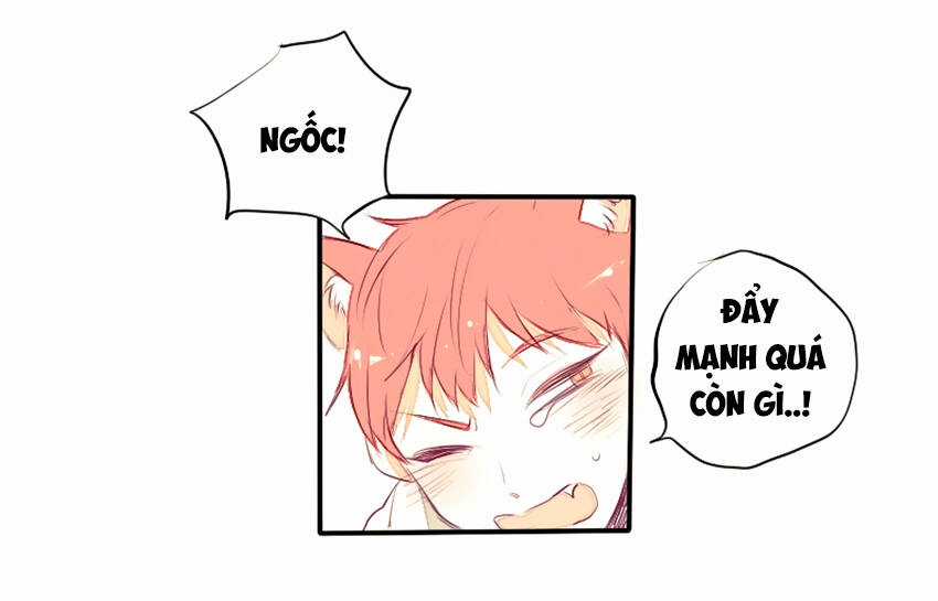 Cưới, Tôi Ư? Chapter 23 trang 11