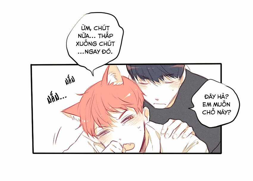 Cưới, Tôi Ư? Chapter 23 trang 13