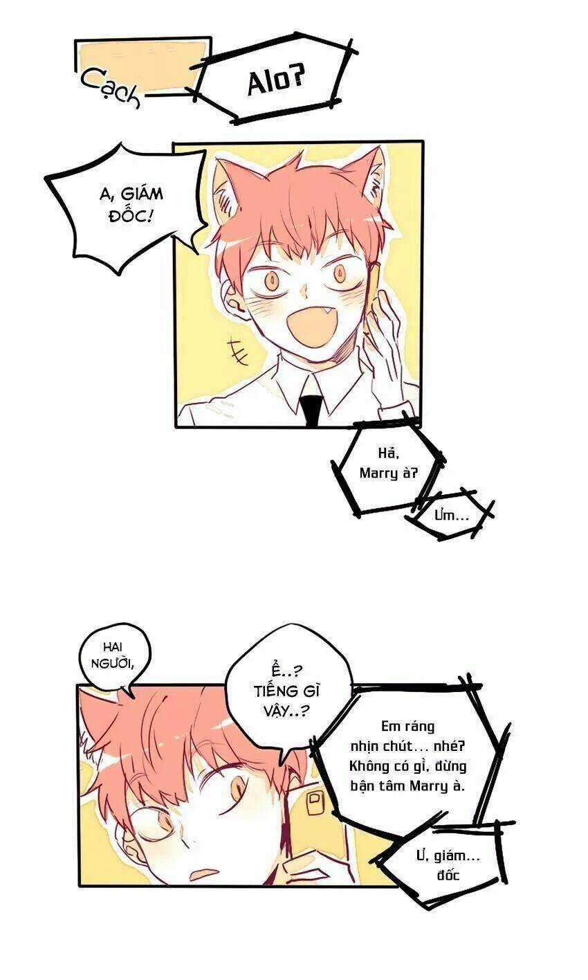 Cưới, Tôi Ư? Chapter 28 trang 13