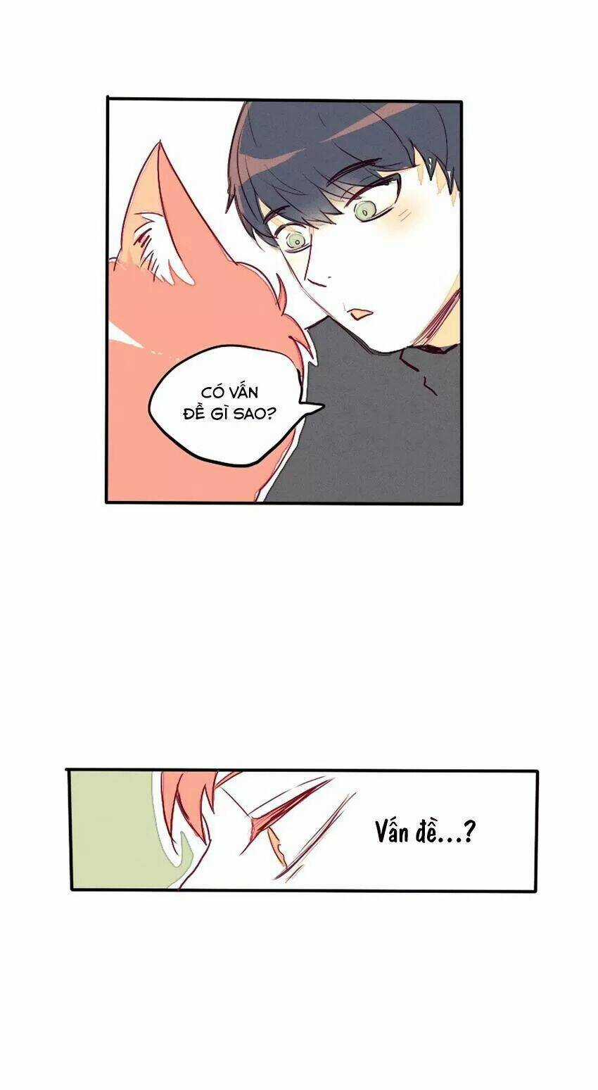 Cưới, Tôi Ư? Chapter 28 trang 16