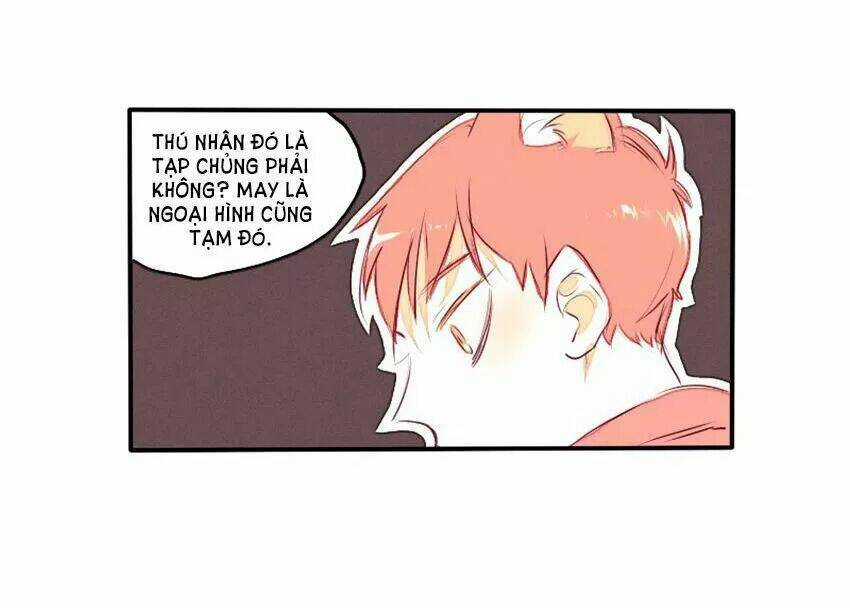 Cưới, Tôi Ư? Chapter 29 trang 17