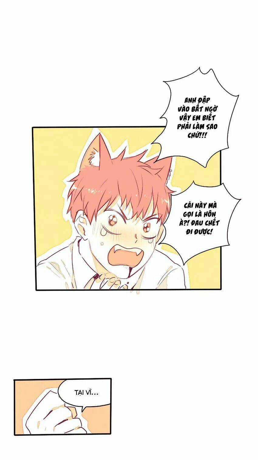 Cưới, Tôi Ư? Chapter 29 trang 6