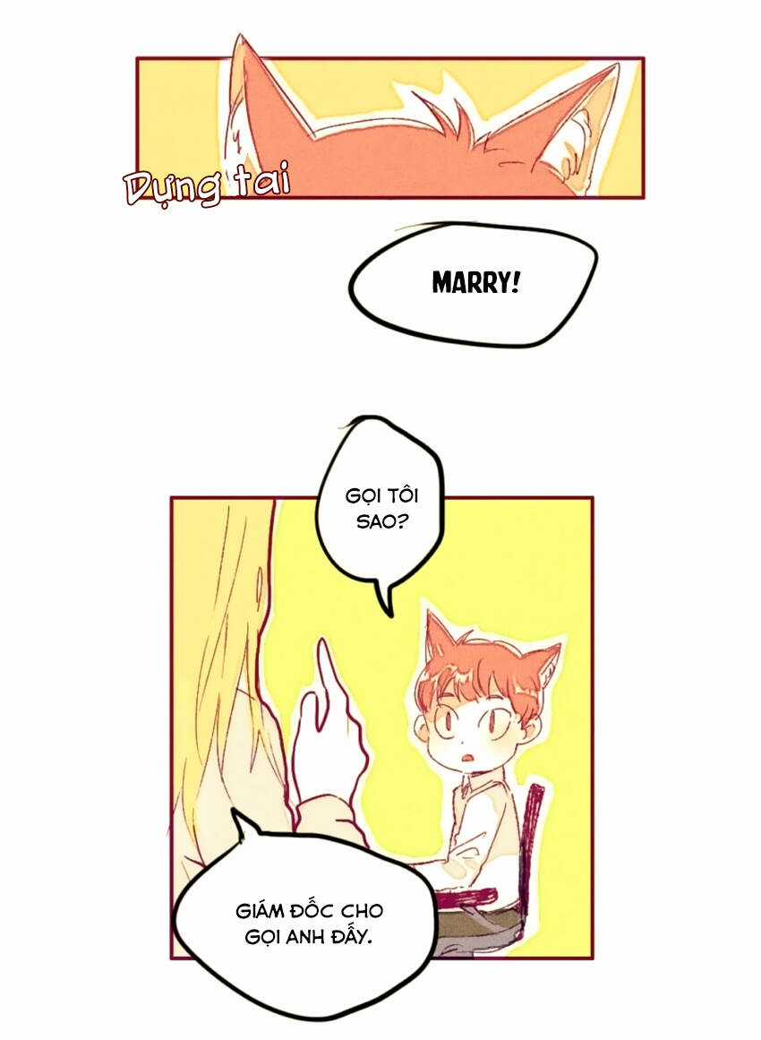 Cưới, Tôi Ư? Chapter 4 trang 10