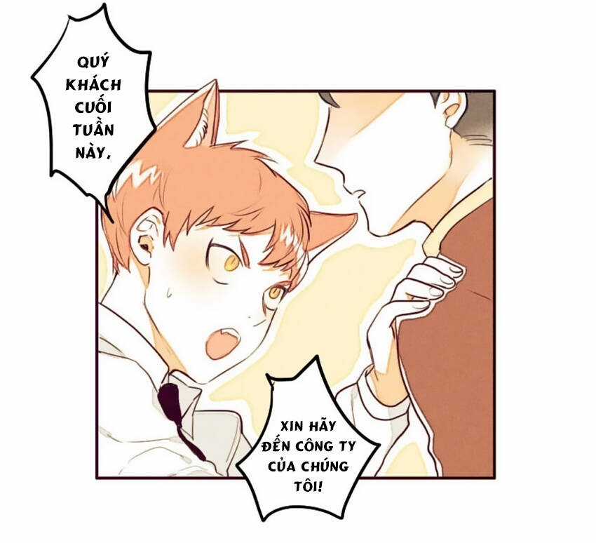 Cưới, Tôi Ư? Chapter 5 trang 21