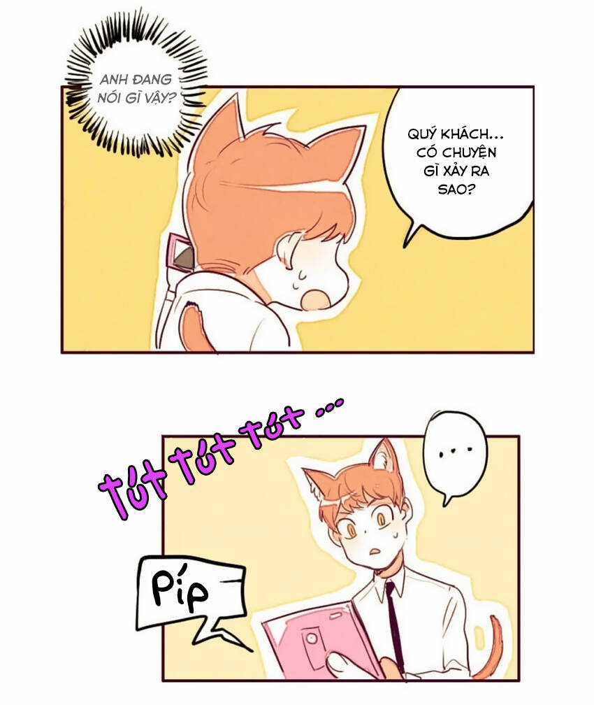 Cưới, Tôi Ư? Chapter 5 trang 8