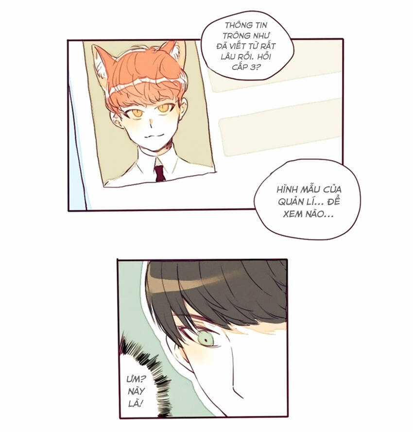 Cưới, Tôi Ư? Chapter 6 trang 12