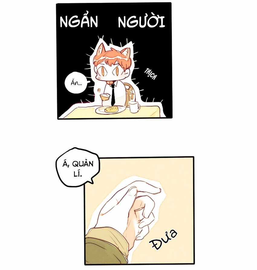 Cưới, Tôi Ư? Chapter 7 trang 14