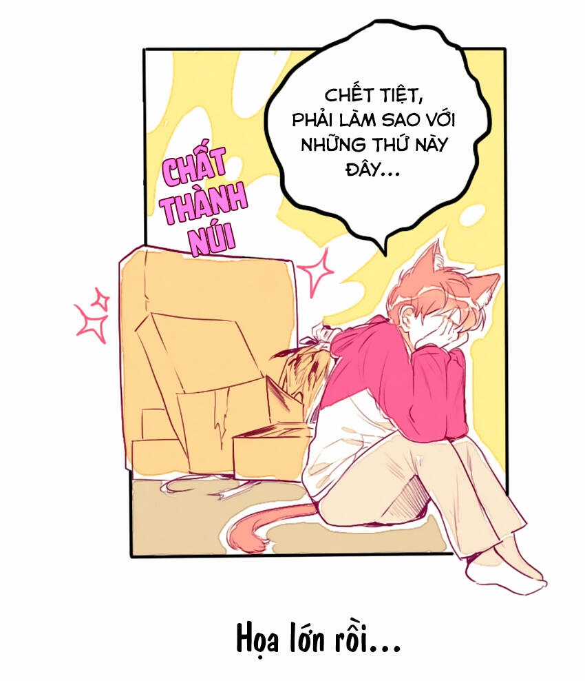 Cưới, Tôi Ư? Chapter 8 trang 5
