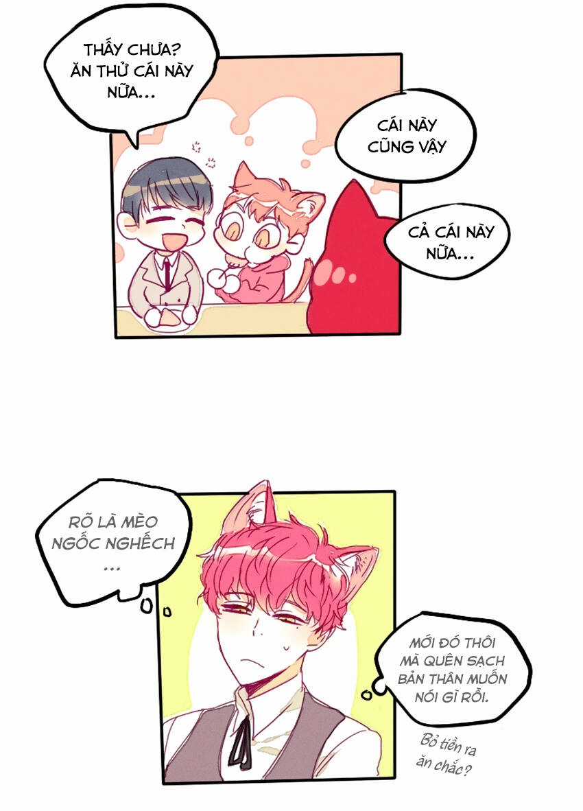 Cưới, Tôi Ư? Chapter 9 trang 13