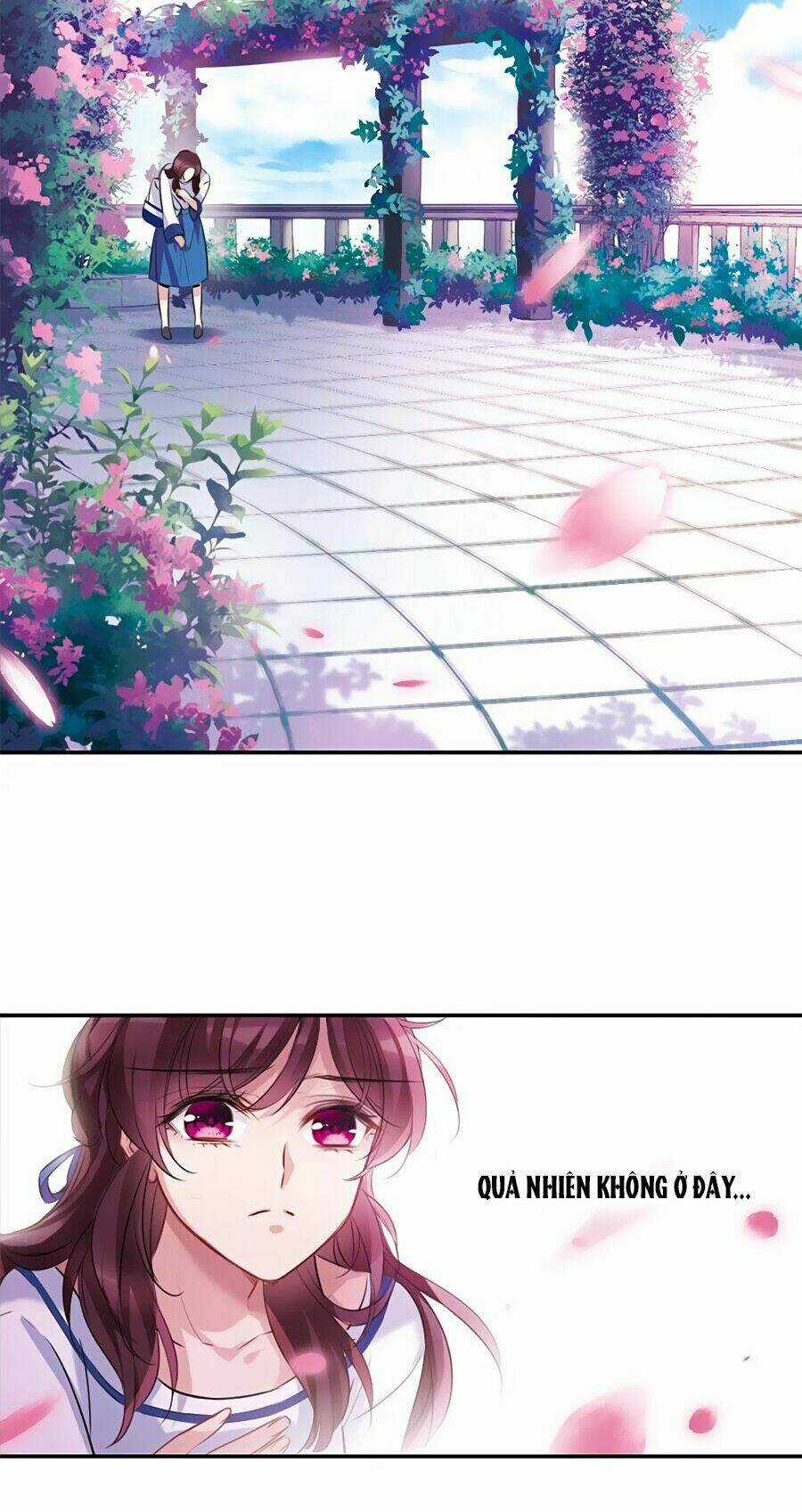 Cuốn Sách Vận Mệnh Của Tôi Chapter 19 trang 15