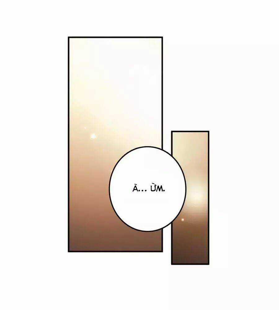 Cuốn Sách Vận Mệnh Của Tôi Chapter 50 trang 17