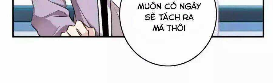 Cuốn Sách Vận Mệnh Của Tôi Chapter 51 trang 18