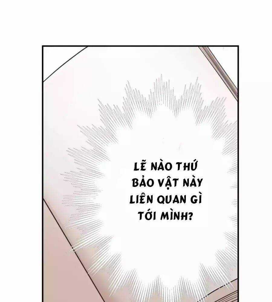 Cuốn Sách Vận Mệnh Của Tôi Chapter 53 trang 31