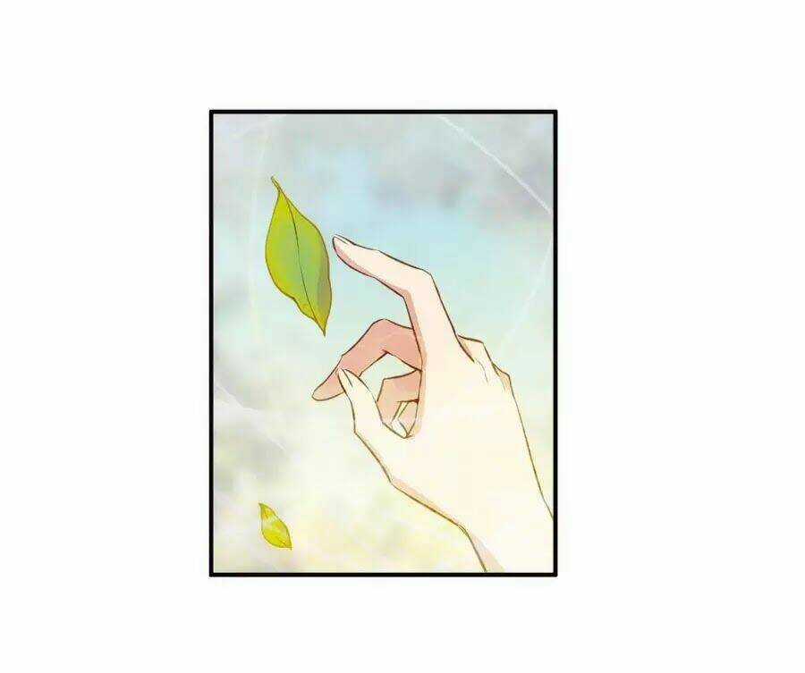 Cuốn Sách Vận Mệnh Của Tôi Chapter 54 trang 27