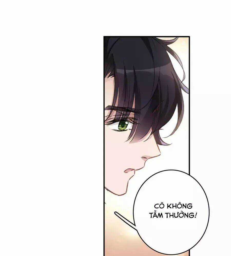 Cuốn Sách Vận Mệnh Của Tôi Chapter 55 trang 27