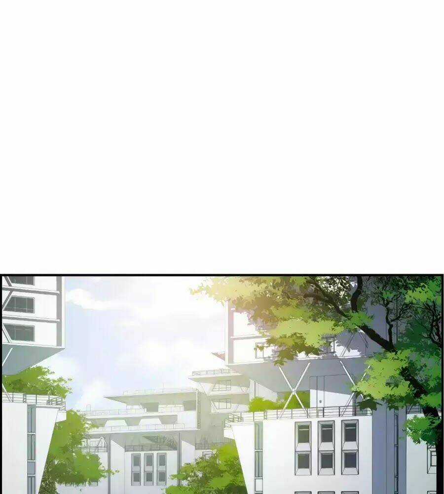 Cuốn Sách Vận Mệnh Của Tôi Chapter 56 trang 13