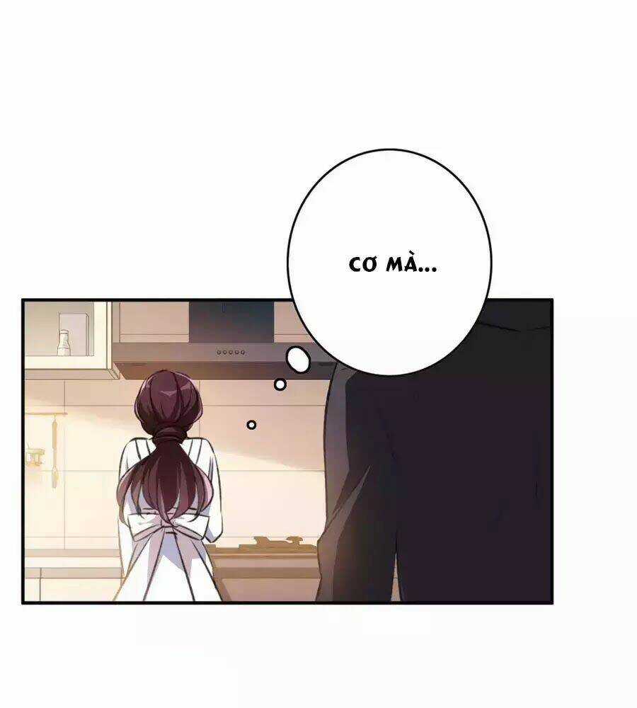 Cuốn Sách Vận Mệnh Của Tôi Chapter 56 trang 29