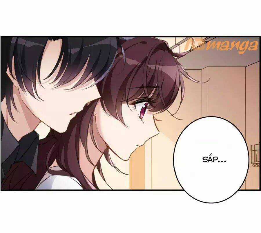 Cuốn Sách Vận Mệnh Của Tôi Chapter 56 trang 31