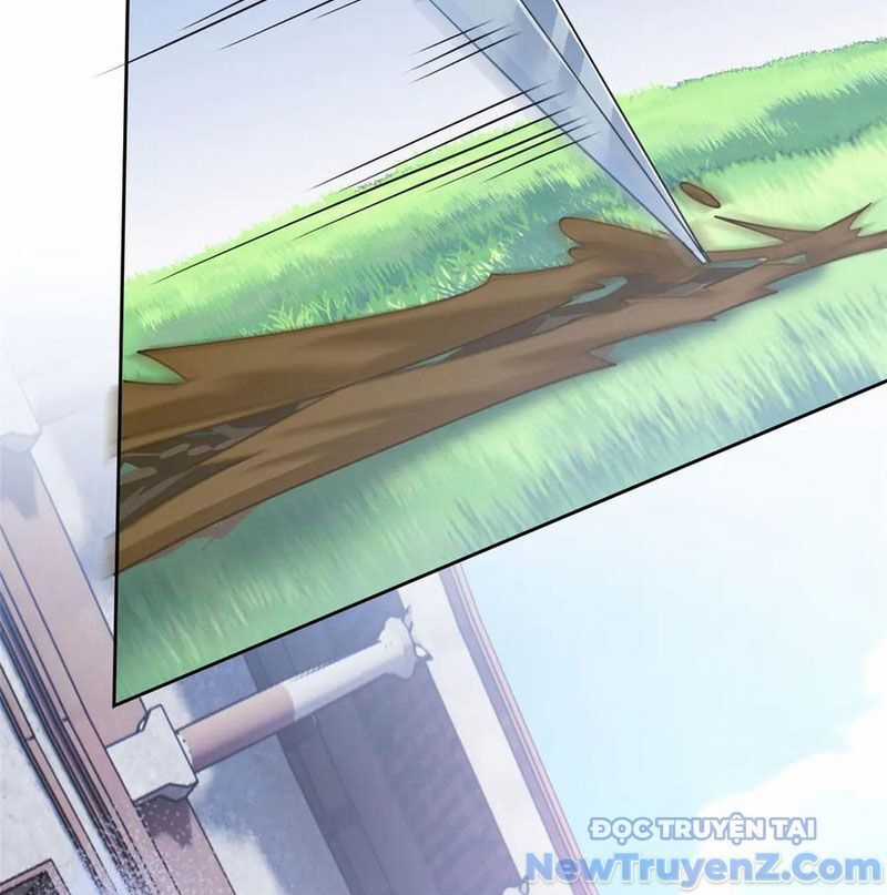 Cường Giả Đến Từ Trại Tâm Thần Chương 345 trang 46